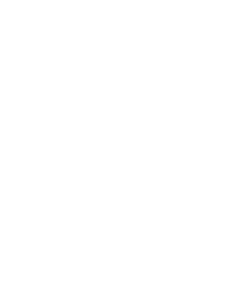 white camp stephens logo image