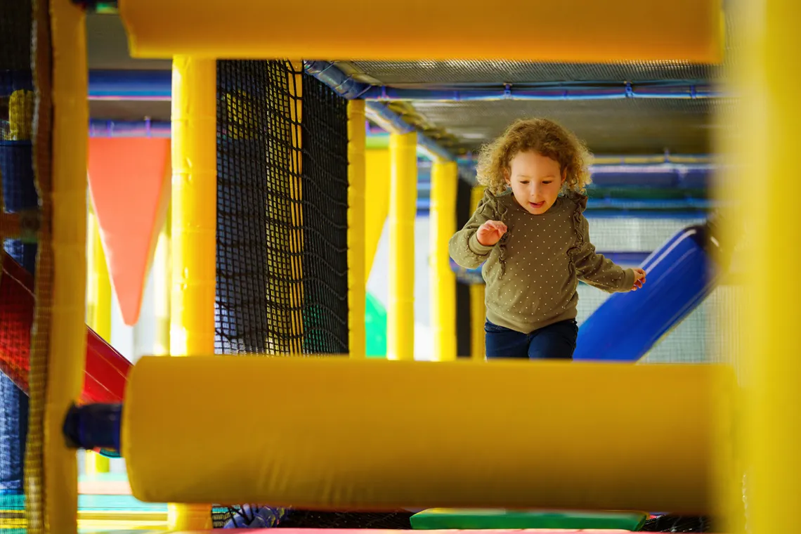 Photo of play structure from completed phase of project