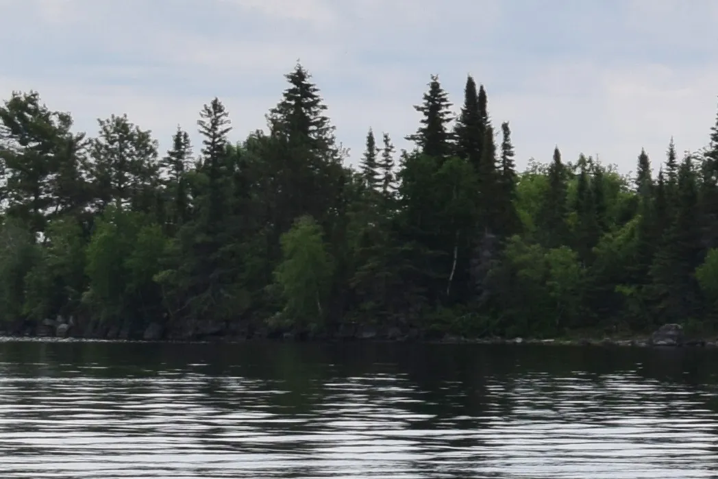 Image of lake with trees on shoreline